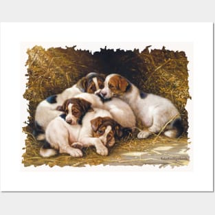 Litter of Beagle Pups Posters and Art